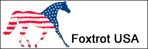 Foxtrot USA