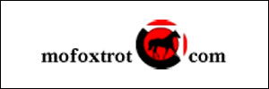 Missouri Fox Trotters