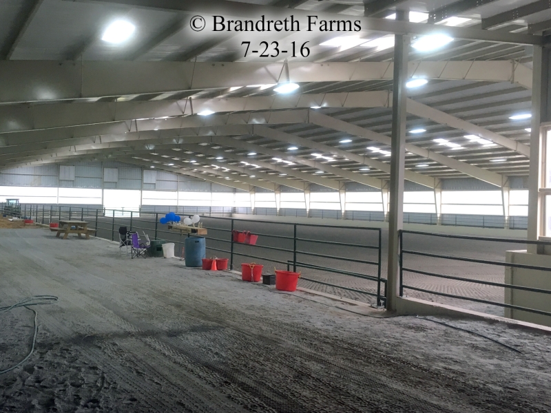 brandreth-farms-7-23-16-1