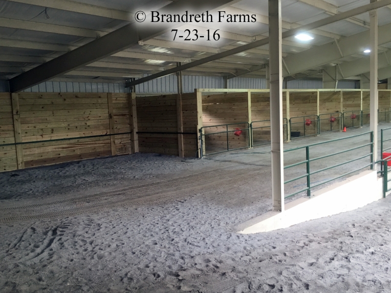 brandreth-farms-7-23-16-2