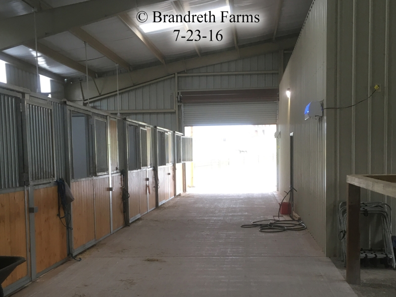 brandreth-farms-7-23-16-3