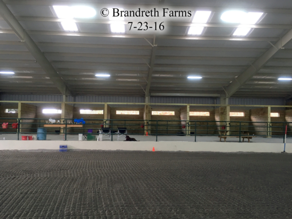 brandreth-farms-7-23-16-4
