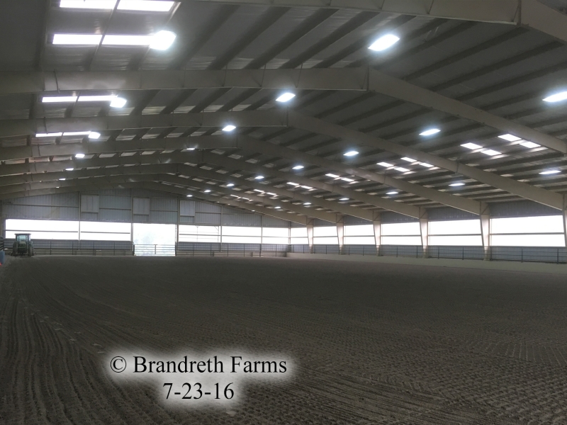 brandreth-farms-7-23-16-5