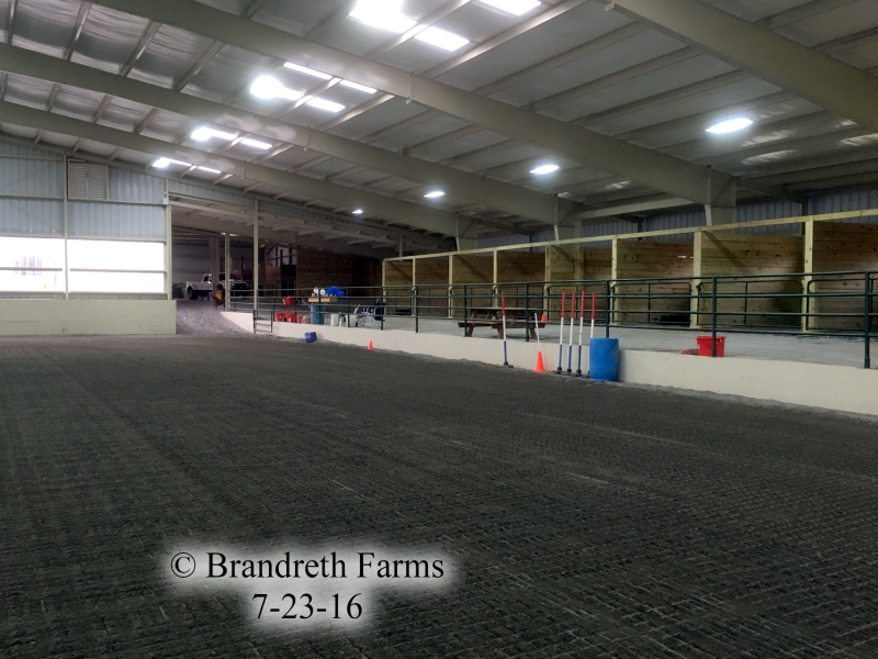 brandreth-farms-7-23-16-6