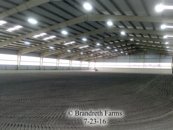 brandreth-farms-7-23-16-7