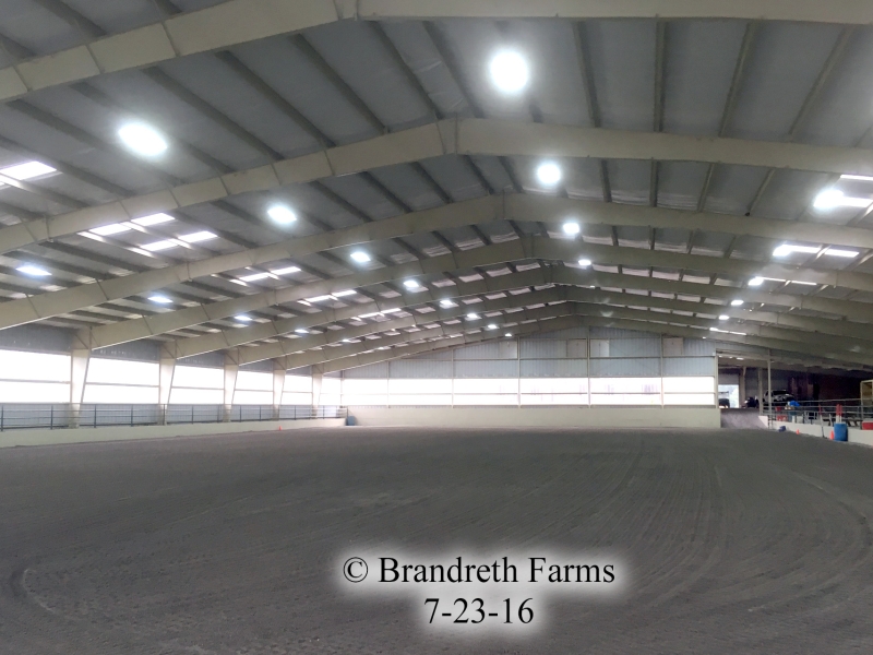 brandreth-farms-7-23-16-8