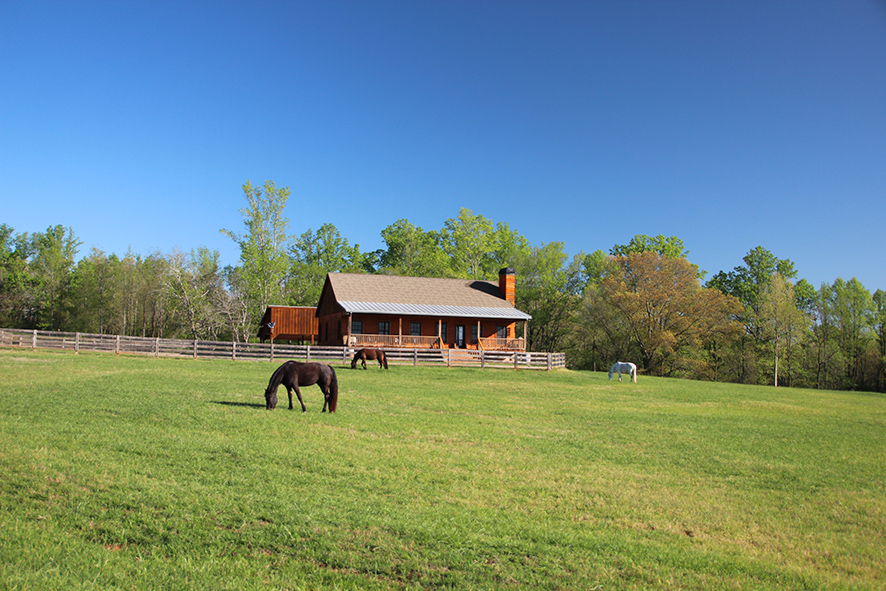 Horse Motel Brandreth Farms