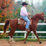 Kansas Kowboy