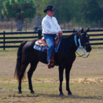 King's Prairie Rose L