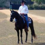 King's Prairie Rose L