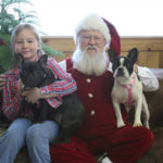 Santa, Izzy and Pups