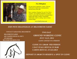 Ground Working Clinic