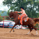 Kansas Kowboy