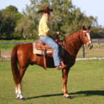 Kansas Kowboy