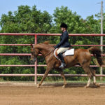 Kansas Kowboy