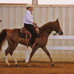 The Kansas Kowboy D.