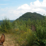 Trail Riding