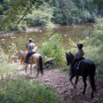 Trail Riding