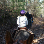 Trail Riding