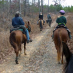 Trail Riding