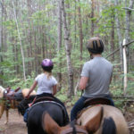 Trail Riding