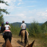 Trail Riding